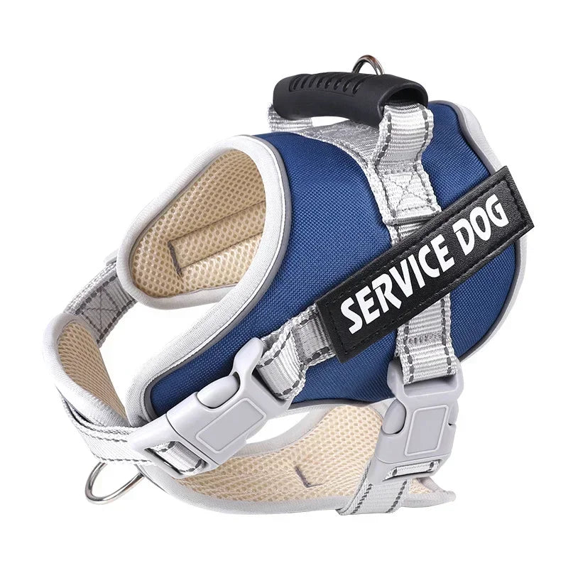 Personalised Dog Harness with Custom Name Tag | No-Pull & Padded