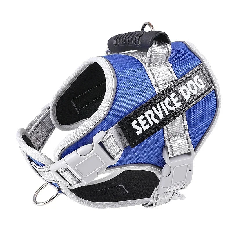 Personalised Dog Harness with Custom Name Tag | No-Pull & Padded