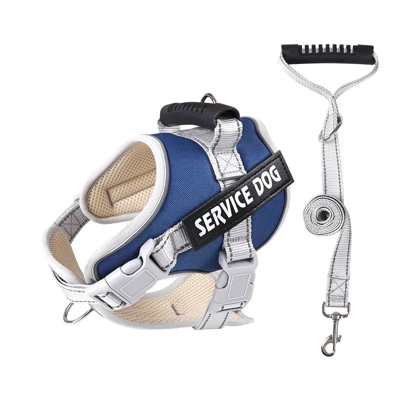 Personalised Dog Harness with Custom Name Tag | No-Pull & Padded