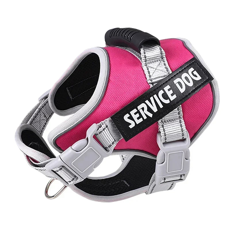 Personalised Dog Harness with Custom Name Tag | No-Pull & Padded