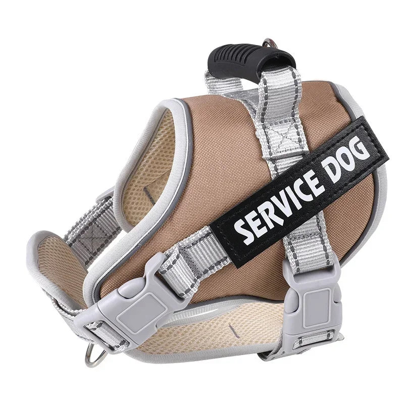 Personalised Dog Harness with Custom Name Tag | No-Pull & Padded