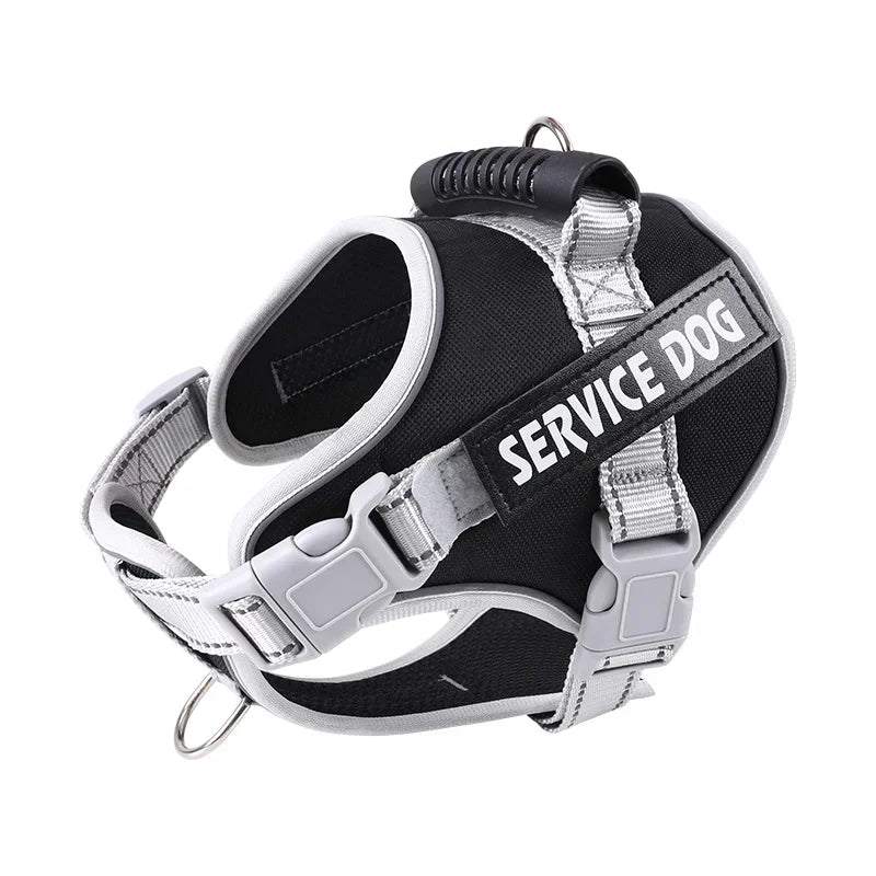 Personalised Dog Harness with Custom Name Tag | No-Pull & Padded