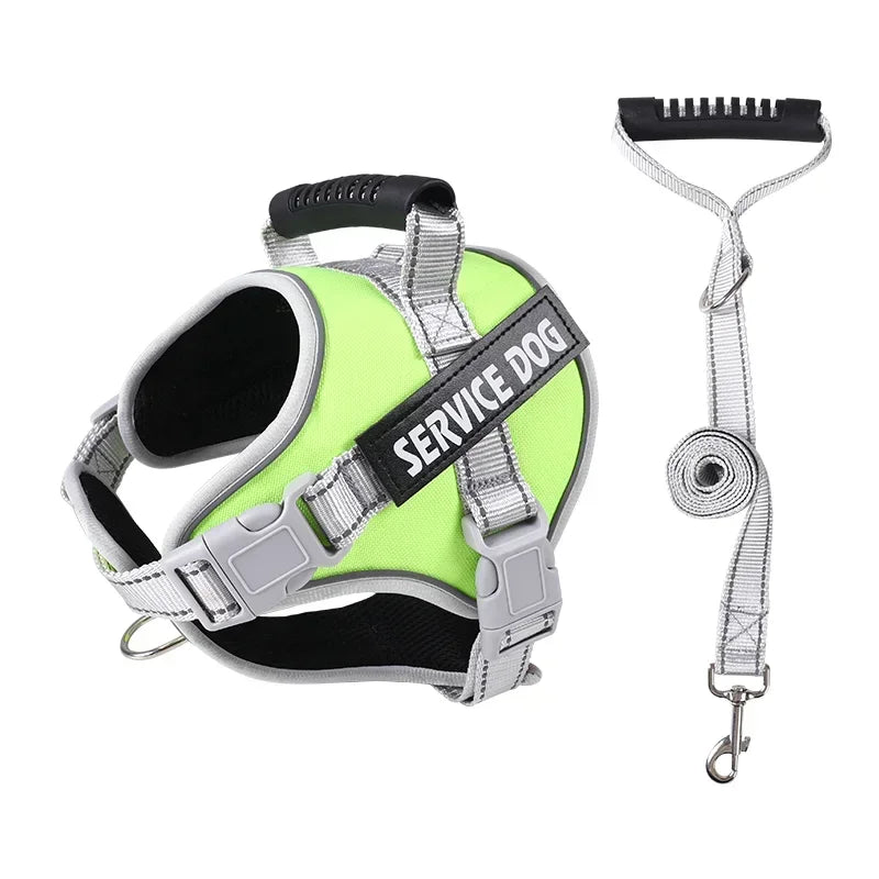 Personalised Dog Harness with Custom Name Tag | No-Pull & Padded
