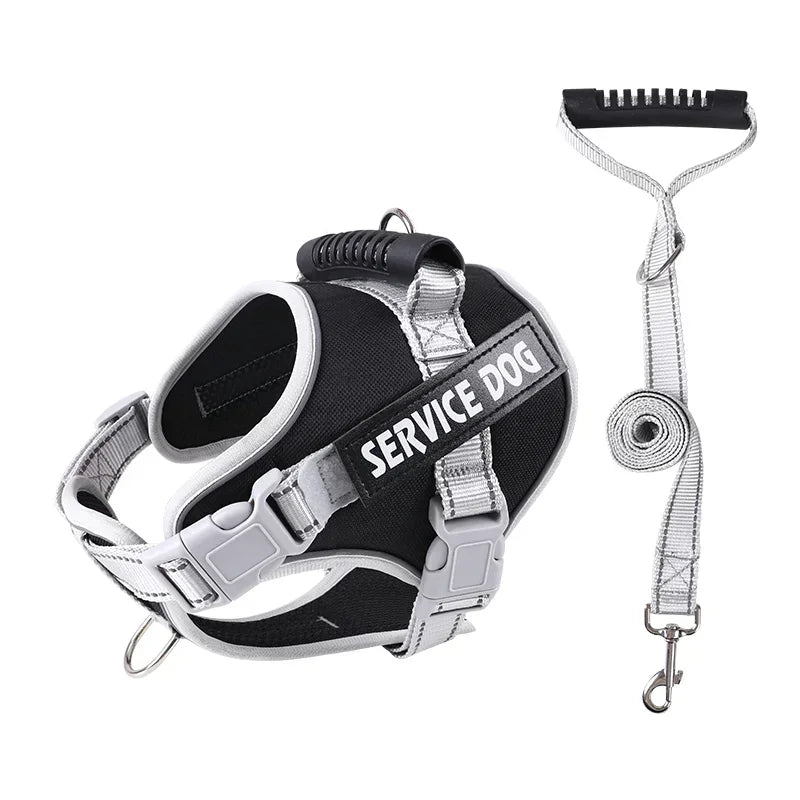Personalised Dog Harness with Custom Name Tag | No-Pull & Padded