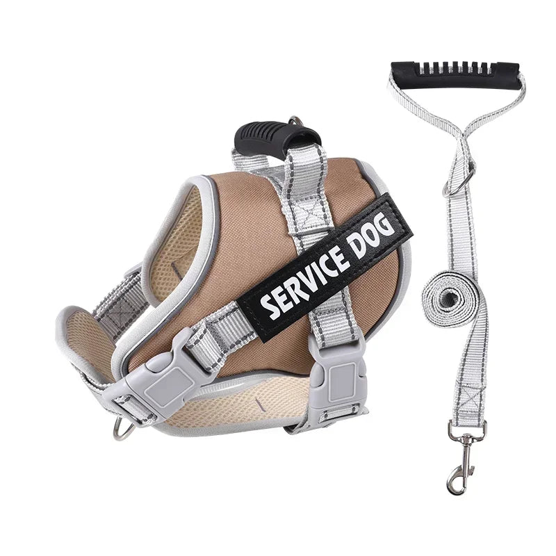 Personalised Dog Harness with Custom Name Tag | No-Pull & Padded