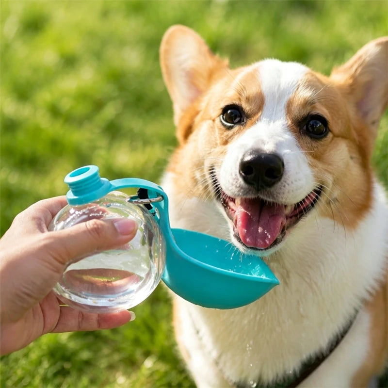 Portable Dog Water Bottle