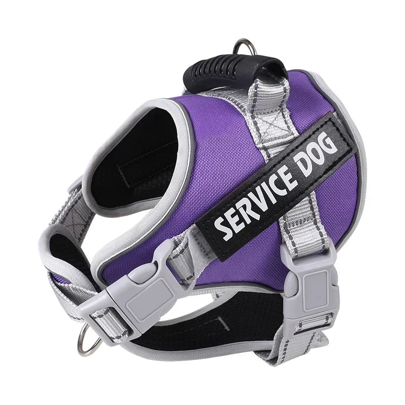 Personalised Dog Harness with Custom Name Tag | No-Pull & Padded