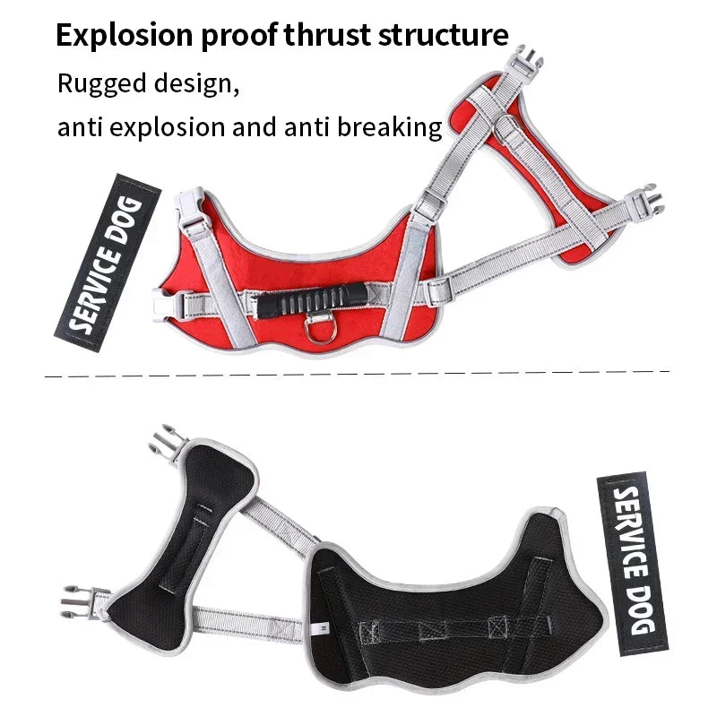 Personalised Dog Harness with Custom Name Tag | No-Pull & Padded