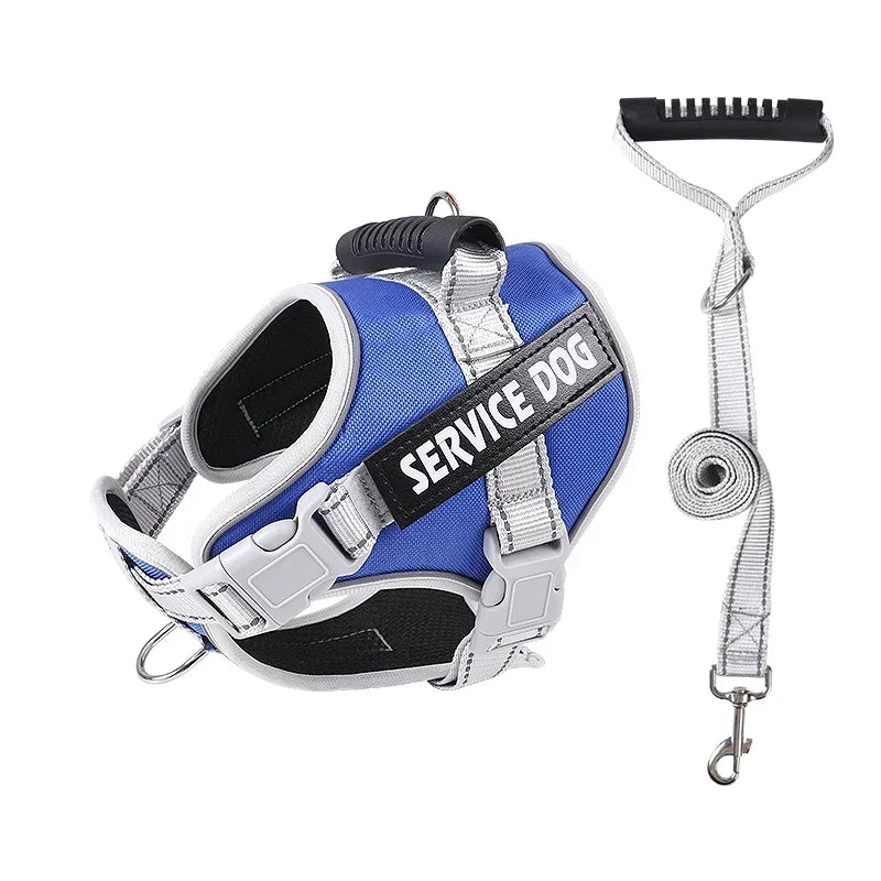 Personalised Dog Harness with Custom Name Tag | No-Pull & Padded