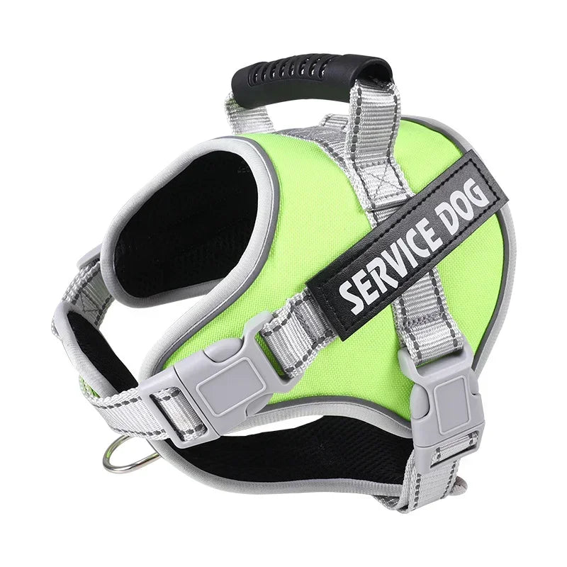 Personalised Dog Harness with Custom Name Tag | No-Pull & Padded