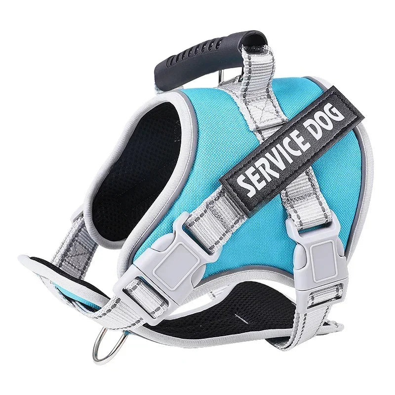 Personalised Dog Harness with Custom Name Tag | No-Pull & Padded