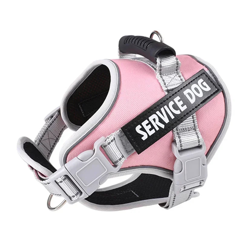 Personalised Dog Harness with Custom Name Tag | No-Pull & Padded