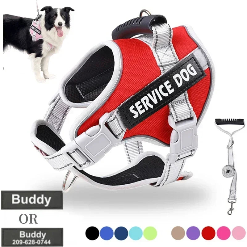 Personalised Dog Harness with Custom Name Tag | No-Pull & Padded