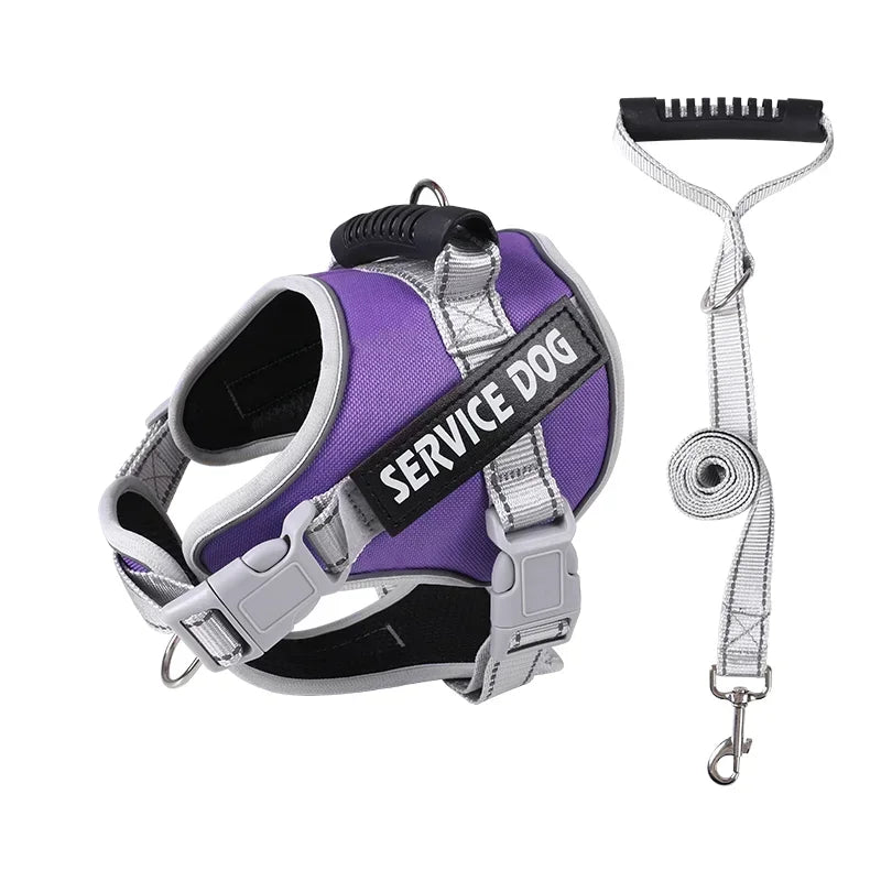 Personalised Dog Harness with Custom Name Tag | No-Pull & Padded